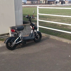 スズキ チョイノリSS エンジン始動動画の画像