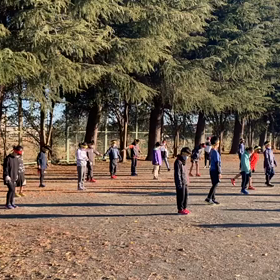 バランス②の画像