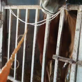 食事風景の画像