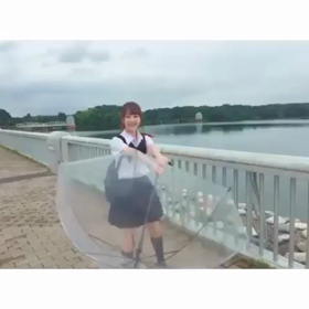 グラビアDVDの画像