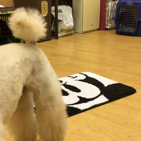 れお編。の画像