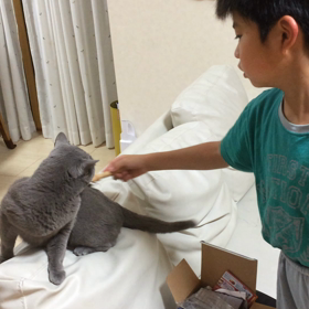 飼育係の画像