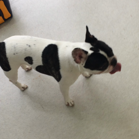 ♪プレイルーム動画♪の画像