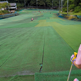 芝スキー！の画像