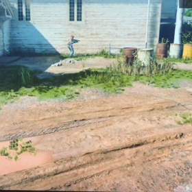 かくれんぼ♬の画像