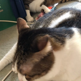 雑菌カビの温床が怖い…広島原爆投下日に黙祷。の画像