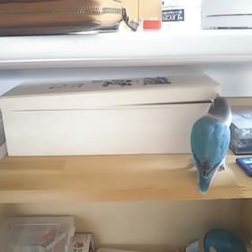 モグラタタキ + ミント = ミントタタキの画像