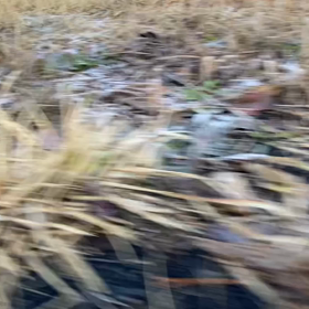 2023年3月6日（月）のおわらサーキットの画像