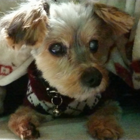 安定の可愛さ❗の画像