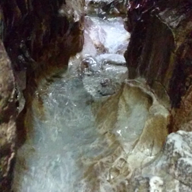 ワクワク癒されての画像