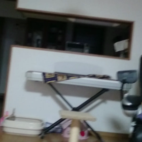 素晴らしい‼猫じゃらしの画像