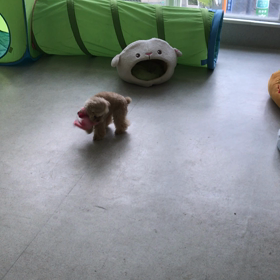 ♪プレイルーム動画♪①の画像