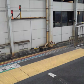 名残惜しい、。の画像