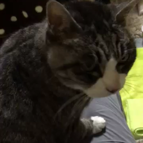 少しだけ…の画像