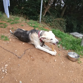 またしても。手抜き記事で済ませる気の一稀さん(笑)の画像