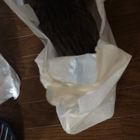 袋が大好きの画像