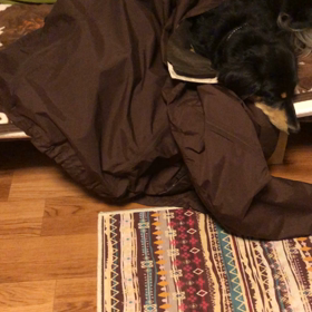 2021/10/24  春めいた日の画像