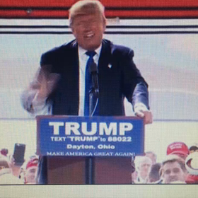 トランプ蜂ジャンプ参照してください。の画像