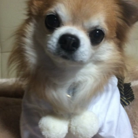 新年の抱負の画像