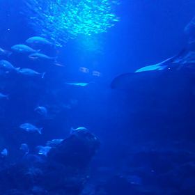 月曜日断食２ヶ月＋１２日目(TT)の画像