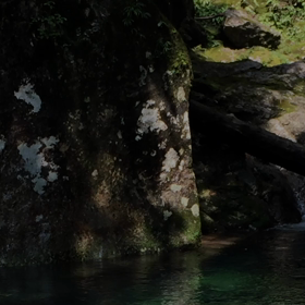 今夏訪れた  安居渓谷のさらに上流の大滝の滝の画像