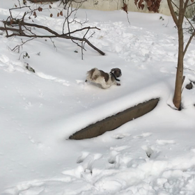 あの子が生まれる　第4話から10話の画像