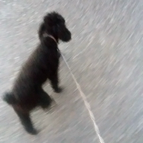 お泊まり★マロンくん、リュウガくんの画像