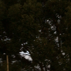 鳥が歓迎してくれましたの画像