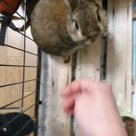 入試といえども、特になにもかわりなく（笑）の画像