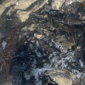 6/29、今日の釣り場。明日の予定。の画像