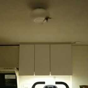 2021/10/08 コウモリ到来の画像