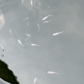 おっ！いい感じの画像