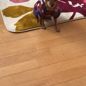 取り立て屋の画像