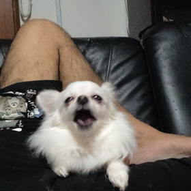 今・日・は〜・・・？！の画像