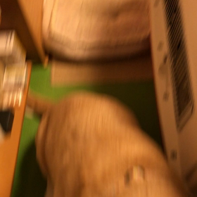 グズグズニャーの画像