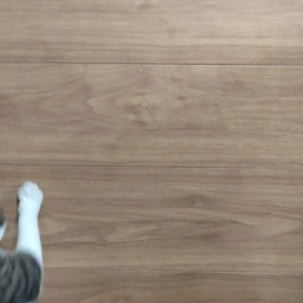 まとわり付きショウ太の画像