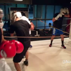 今日のNIBCの画像