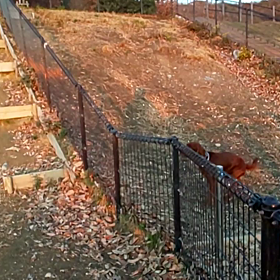 元気いっぱいの画像