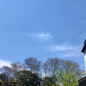 うぐいすの画像