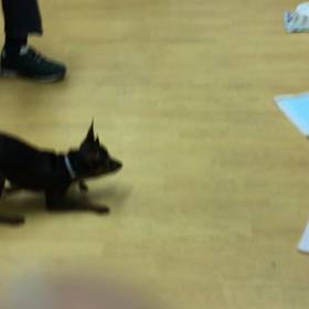 蘭丸、ノリ悪っ！！の画像