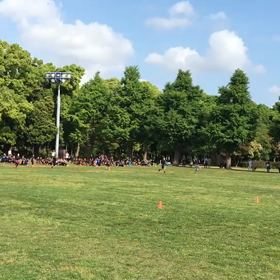 10色リレー 黄緑側から⑤の画像