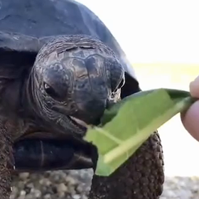 【ご報告】新しい家族をお迎えしましたの画像