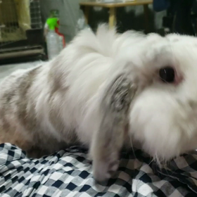 おやつ係の画像