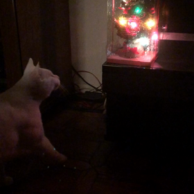 らったん 2017 クリスマスの画像