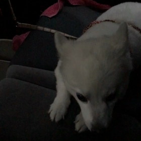 暴れるだけ暴れての画像