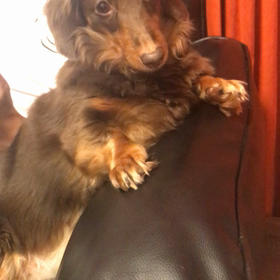 催眠術の練習2の画像