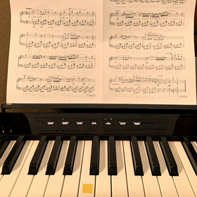 脳の違う回路の画像