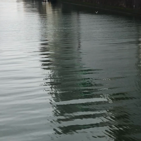 飛行訓練^_^の画像