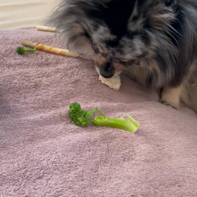 石子と羽男　第1話から第3話の画像