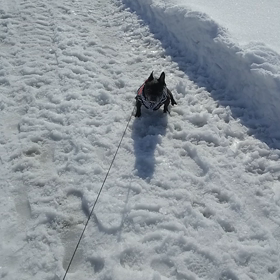 RUN&カラテ修行7-127の画像